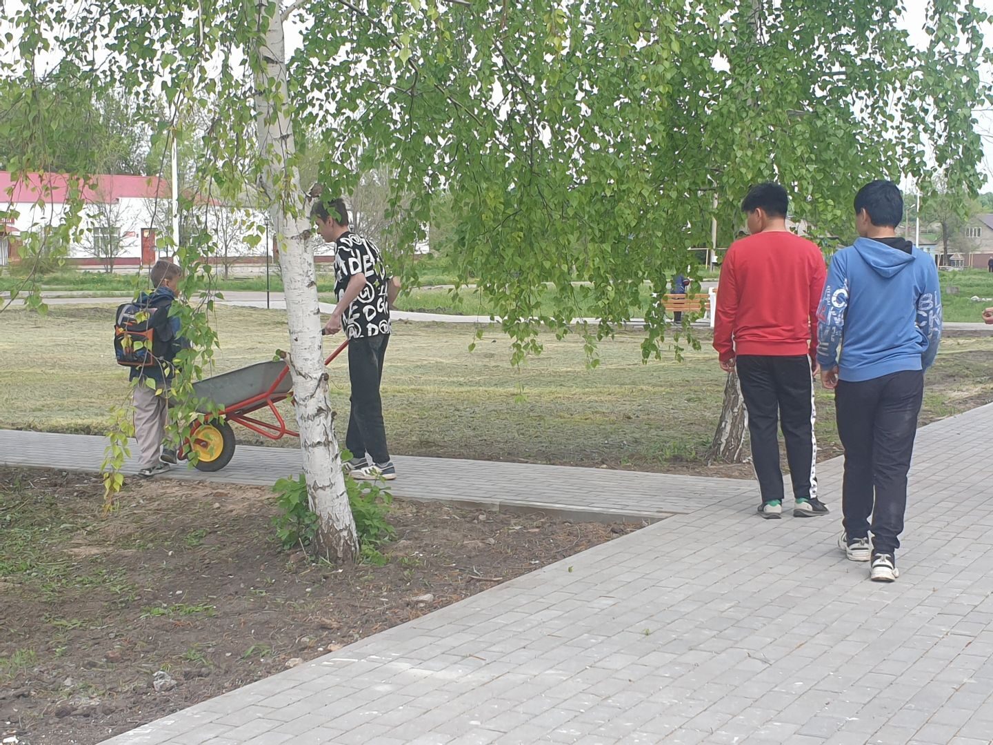 «Сделаем вместе красивое село»